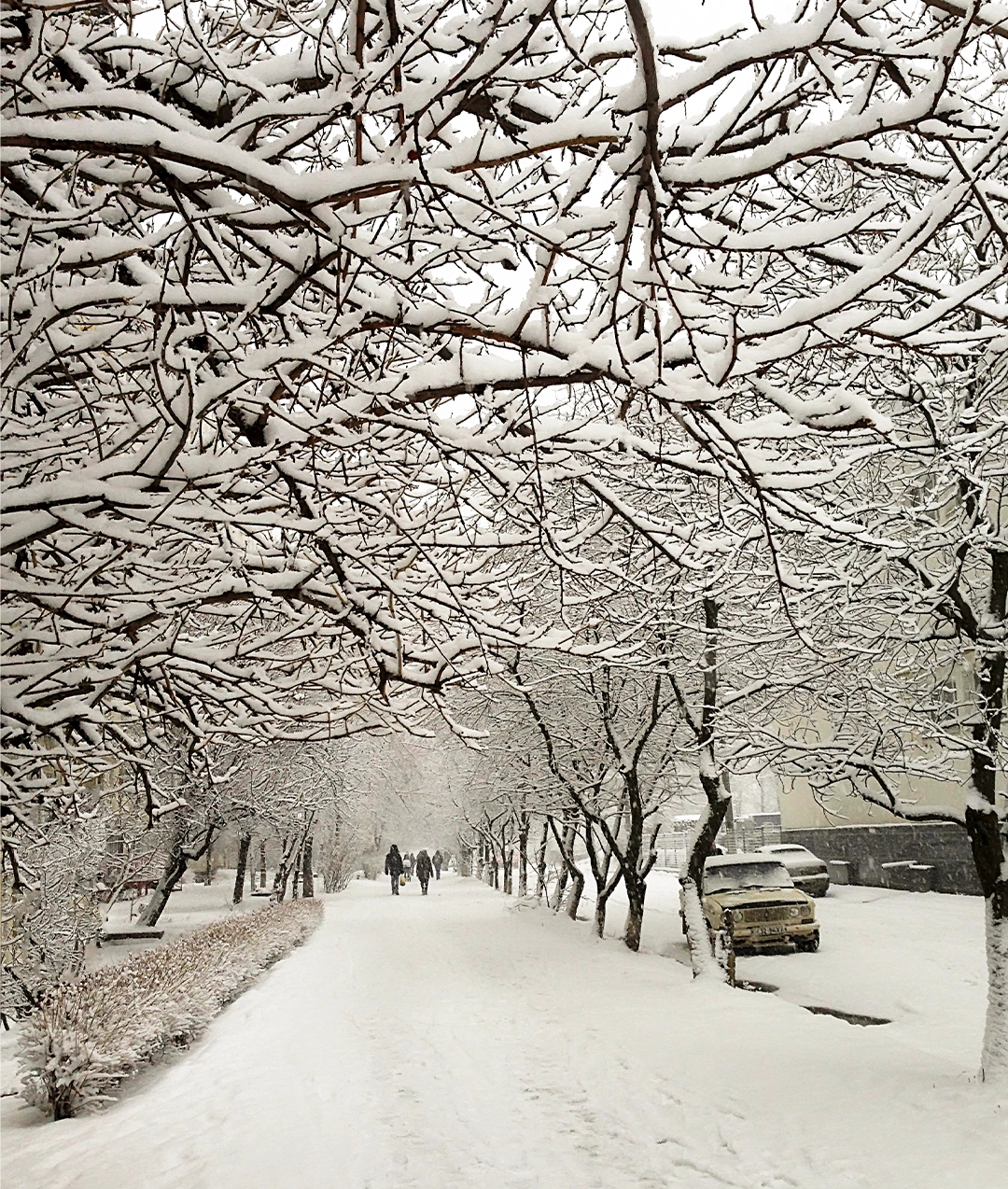 Almaty: City of Apples & Mountains - Image 2