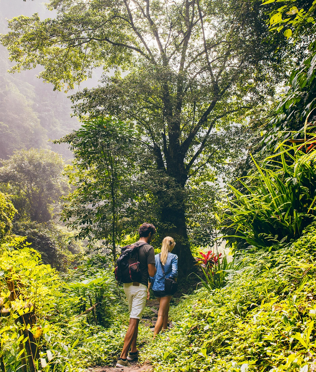 Uttarakhand Group Tour - Image 5