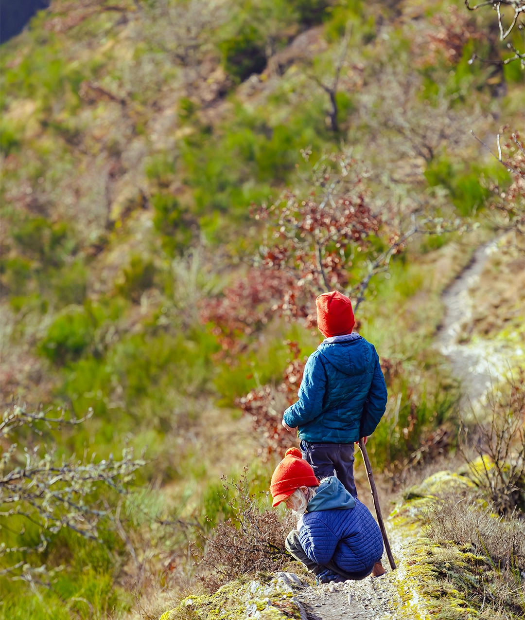 Uttarakhand Group Tour - Image 6