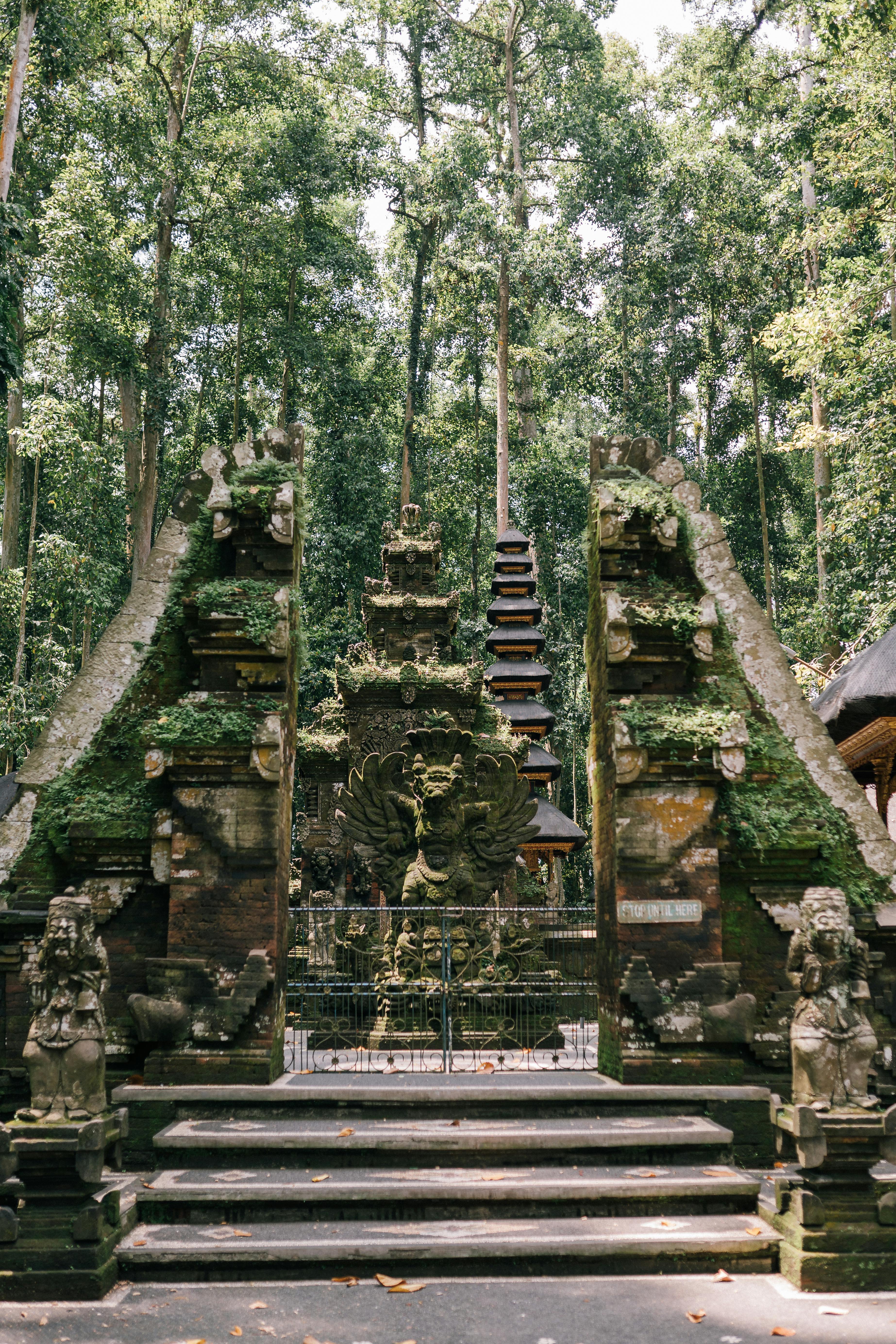 Sacred Monkey Forest