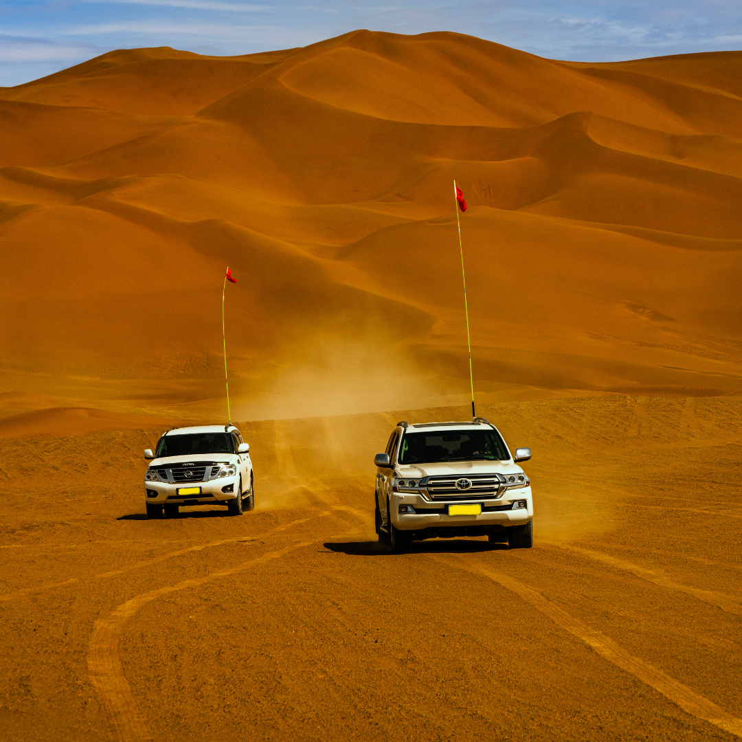 Desert Dune Bashing