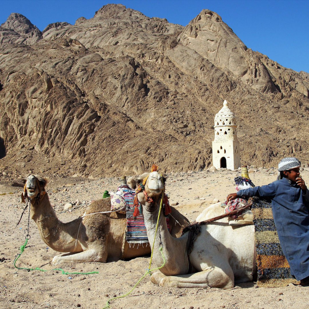 Bedouin Desert Culture