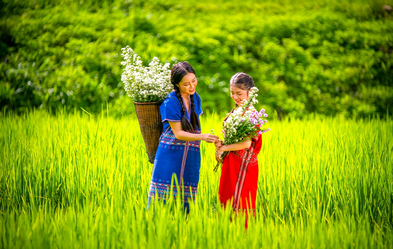 Vietnam tour image 6