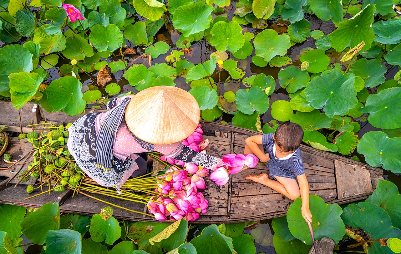Vietnamese Hmong