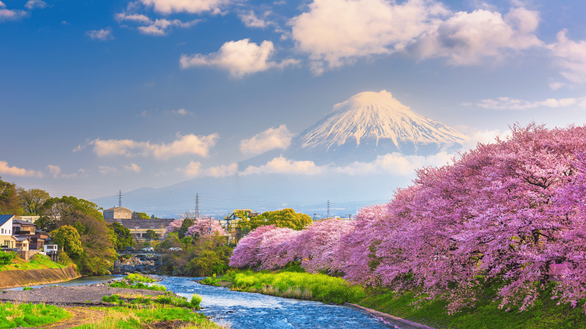 9 Days Japan Deluxe Experience