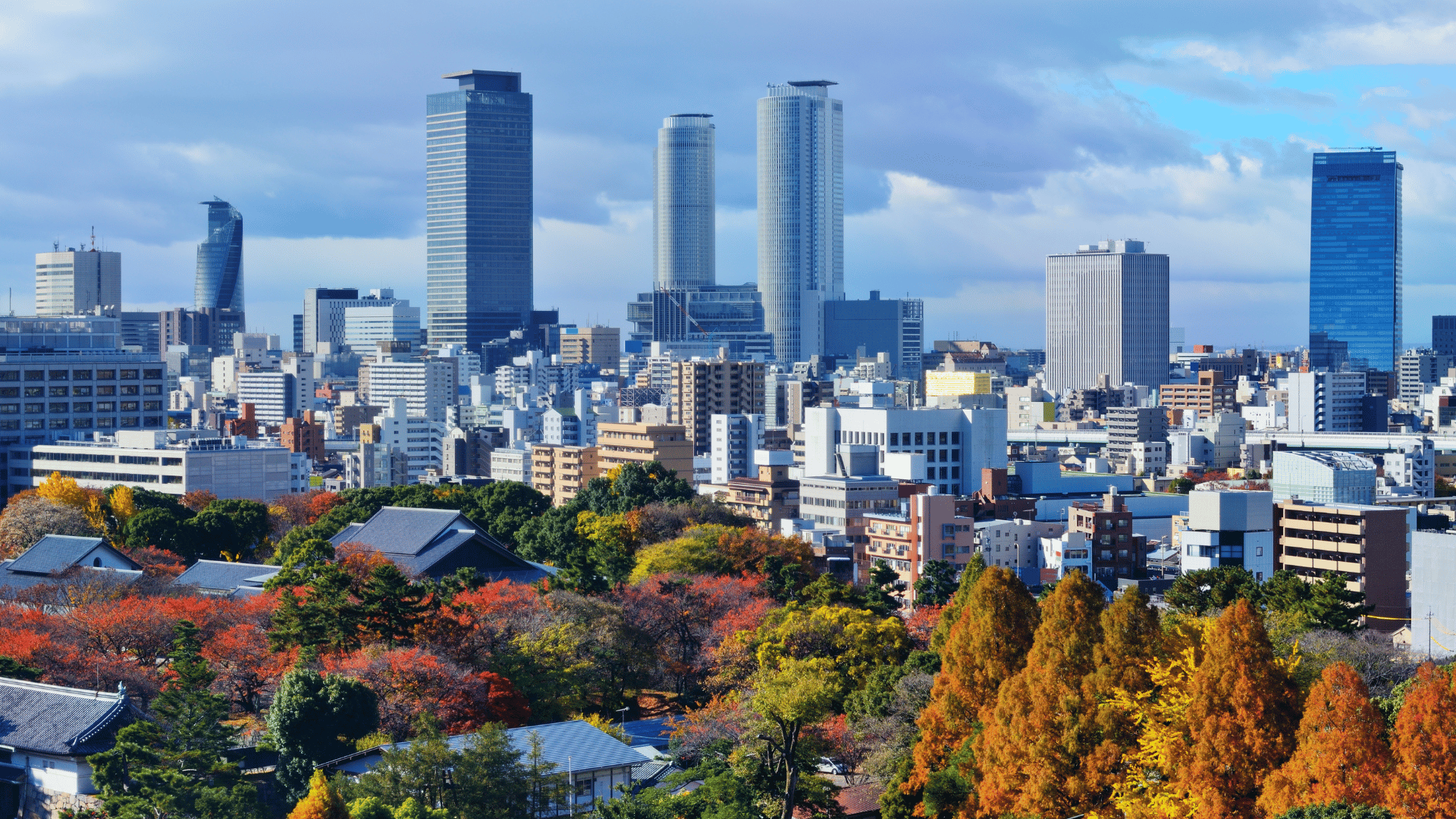 7 Days Japan Discovery