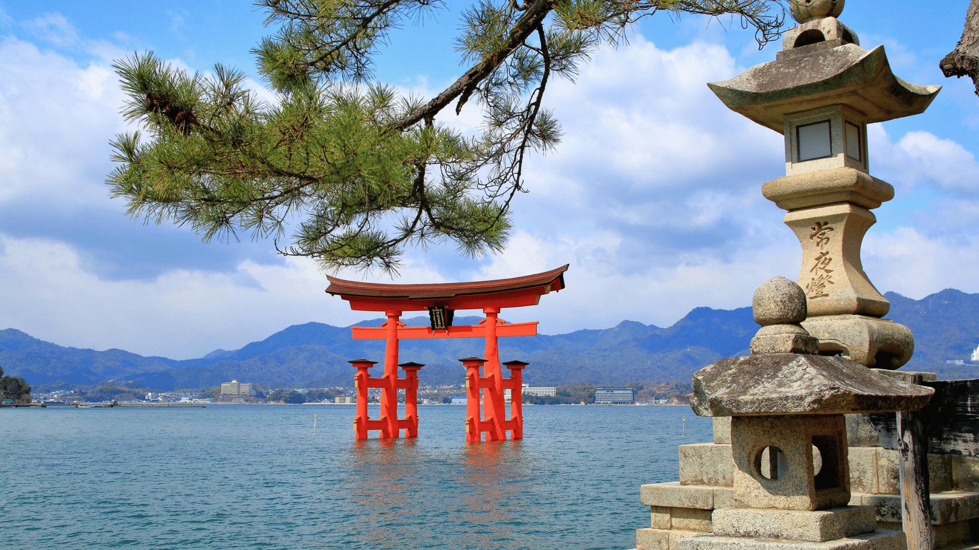 8 Days Japan Complete Experience