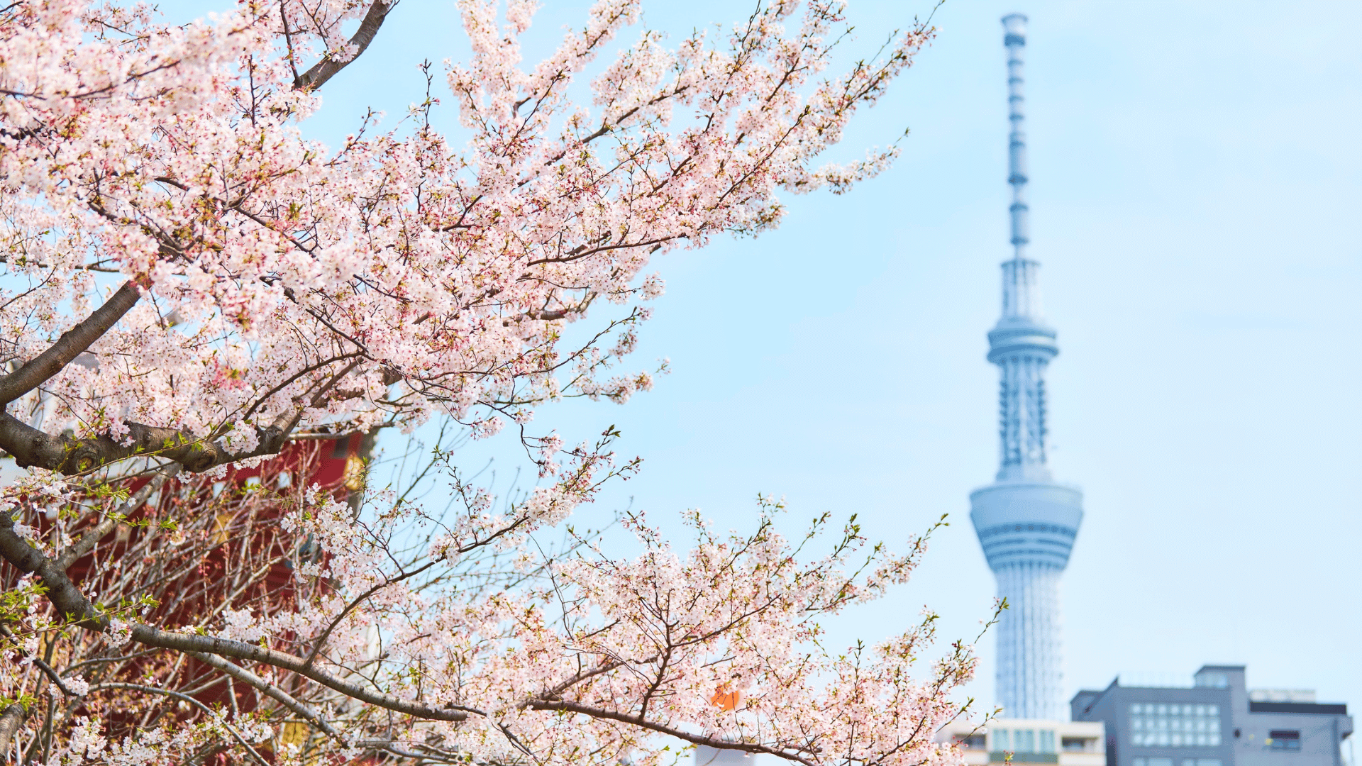 Tokyo Skytree