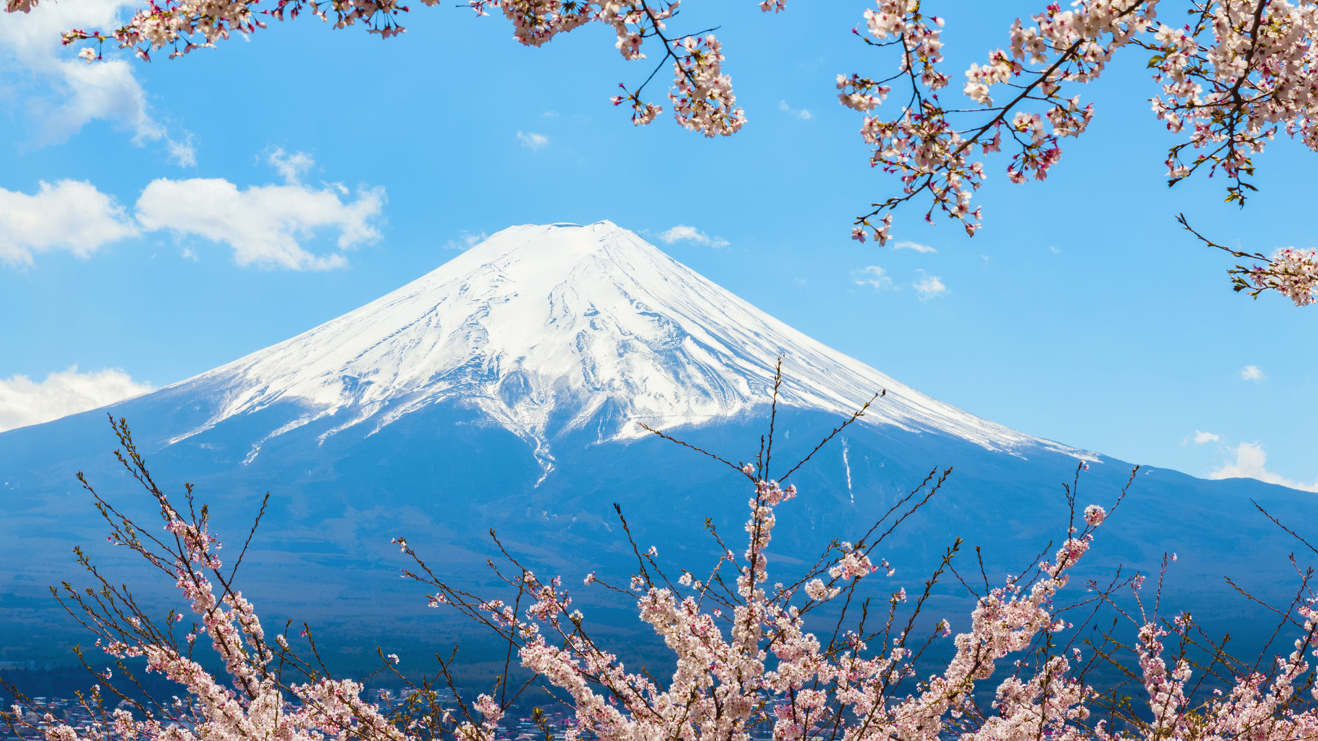 Mount Fuji