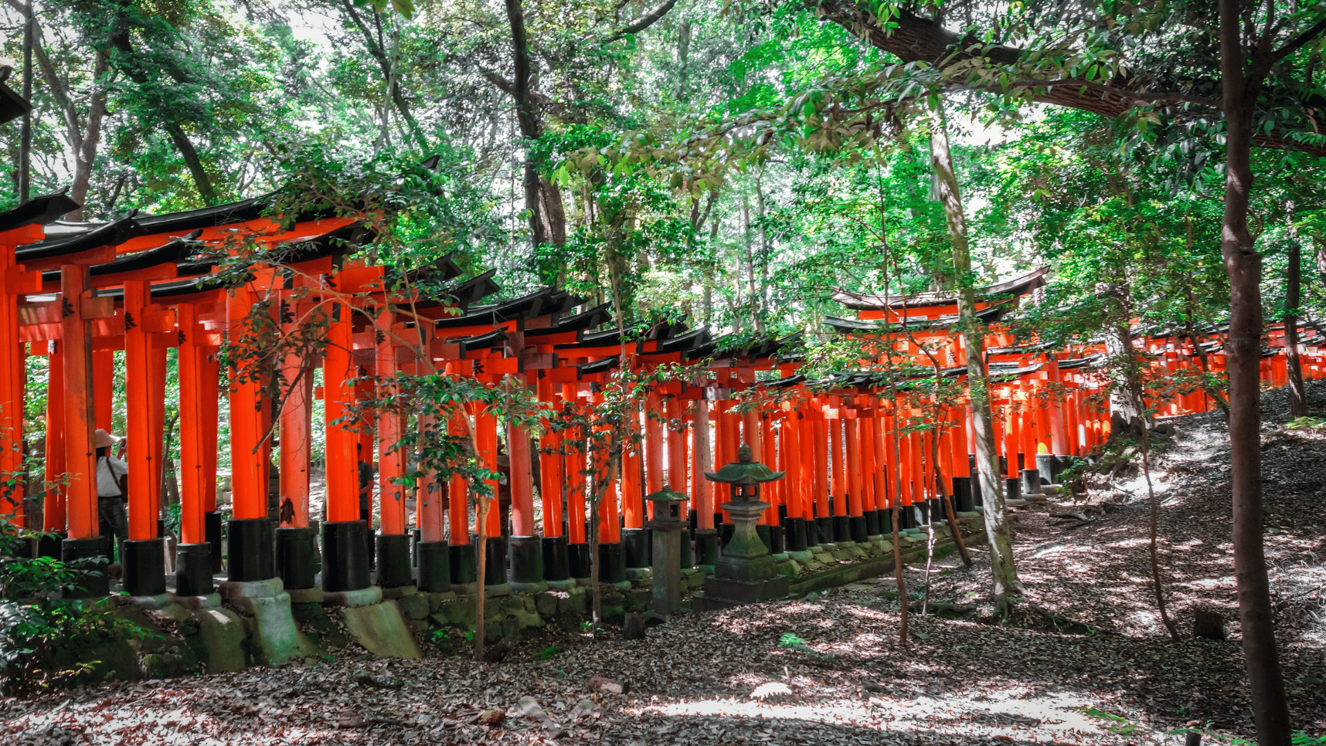 Fushimi Inari Taisha