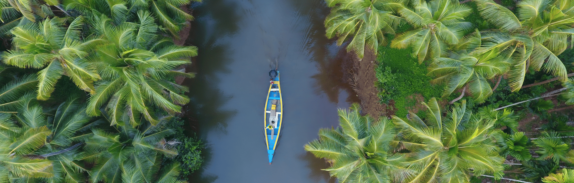 Kerala Deluxe - Munnar, Thekkady, Houseboat & Kovalam