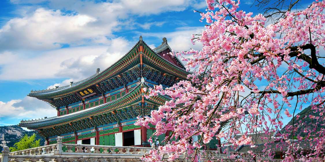 South Korea 1