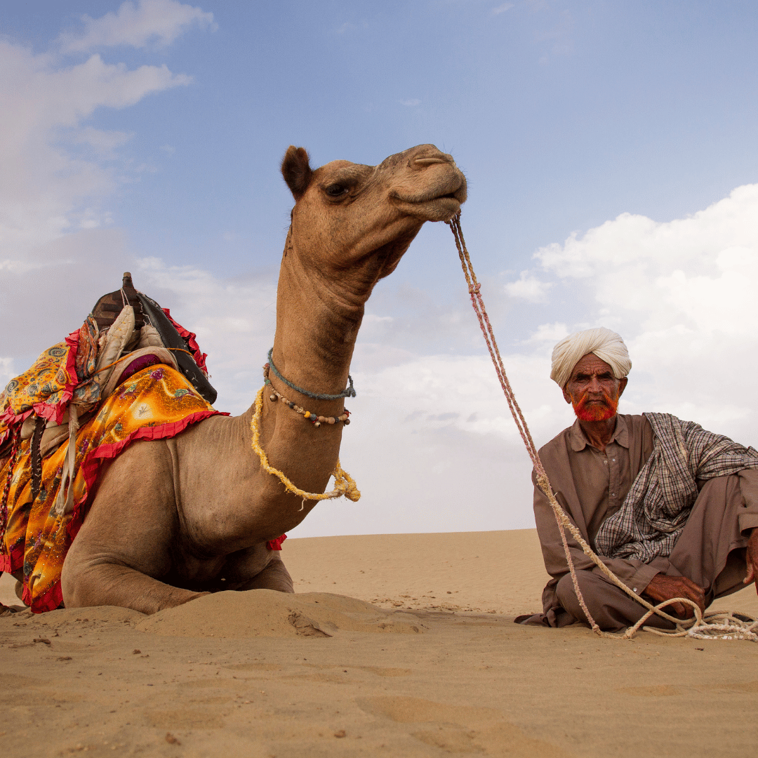 Desert Life