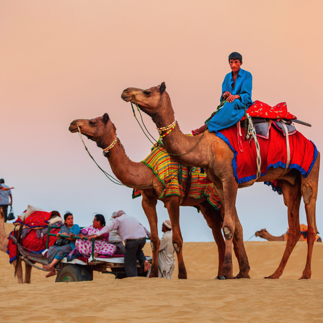 Desert Safari
