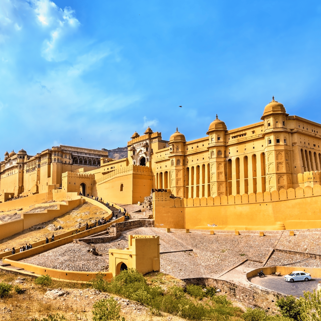 Palace Tours