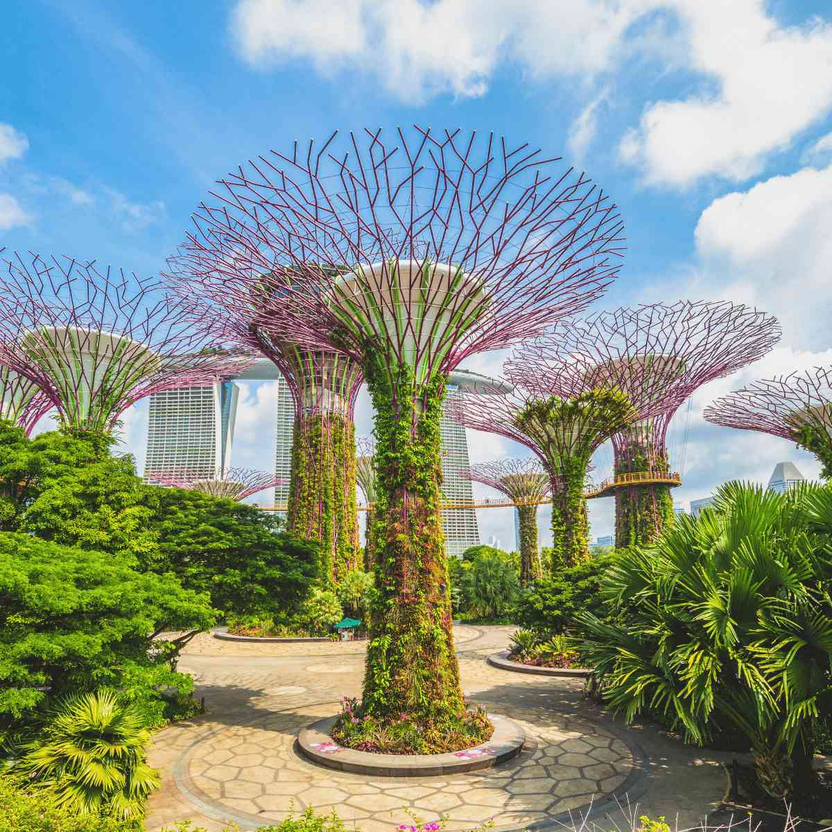 Gardens By The Bay