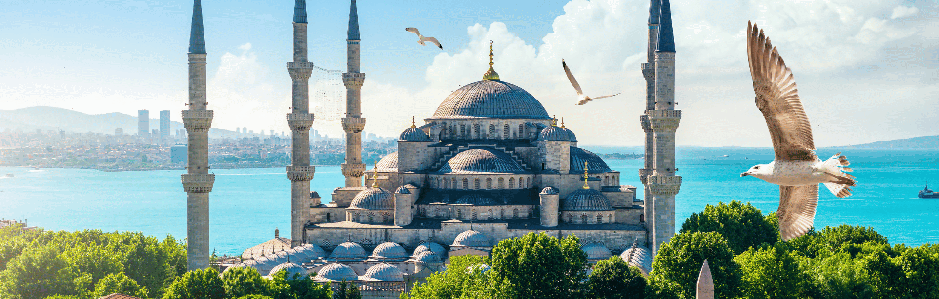 6 Days Turkey City